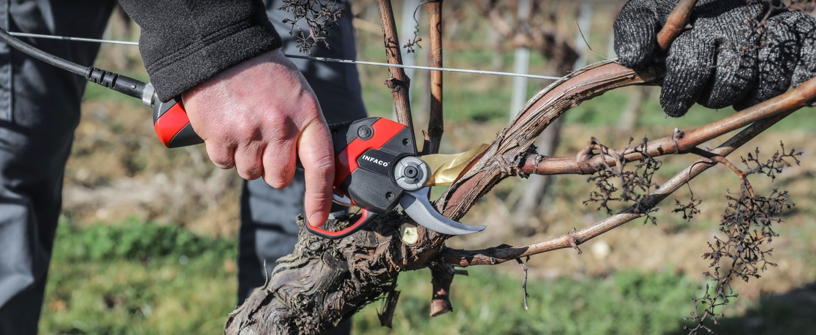 Infaco Geräte Weinbau Oberwallis